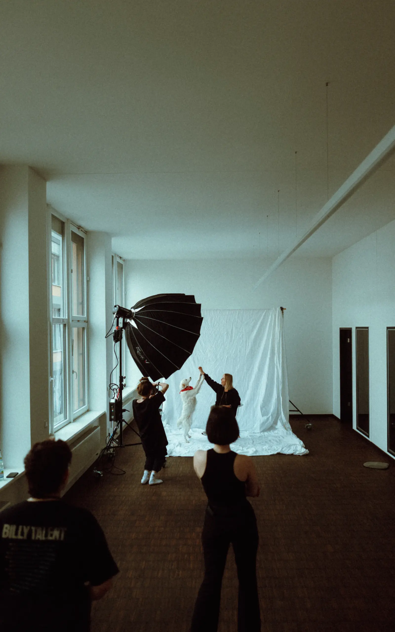 evelin buhmann fotografin hochzeitsfotografin allgaeu