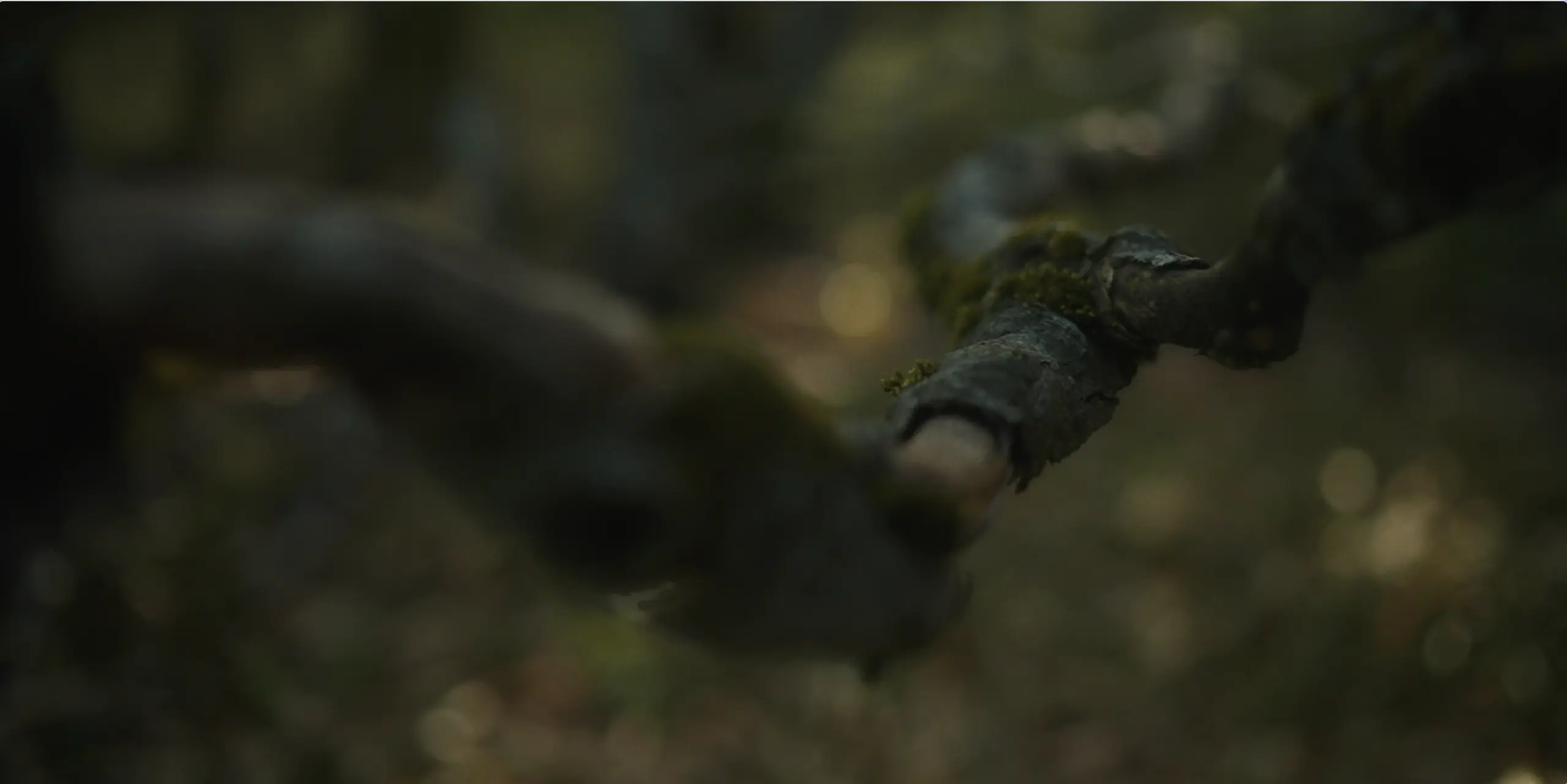 Bildschirmfoto um ..