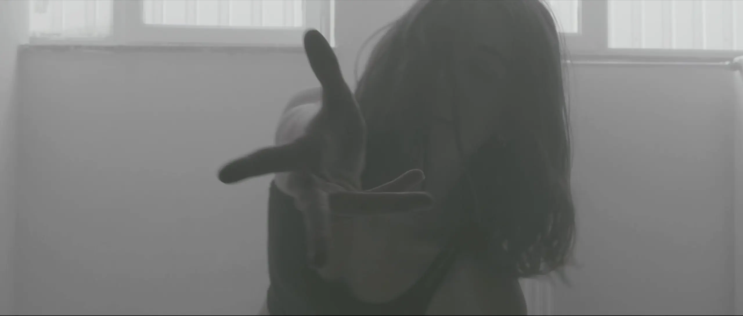 Bildschirmfoto um ..