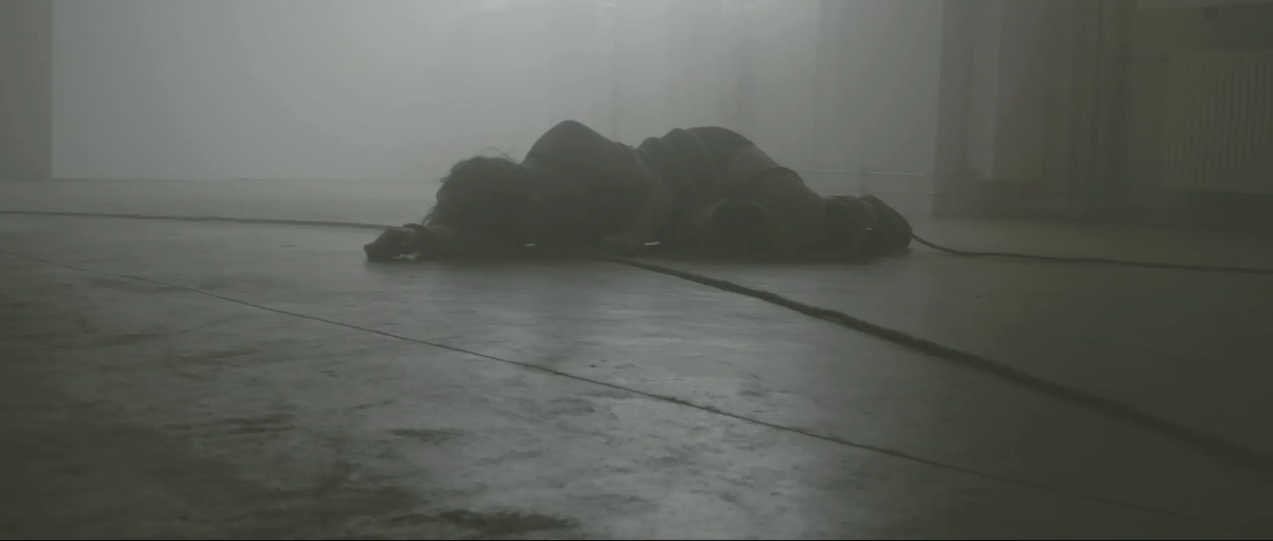 Bildschirmfoto um ..